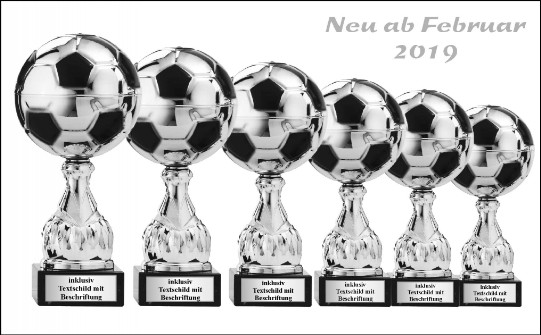 Fussball Trophäen - Medaillen Pokale Zimmermann im Erzgebirge